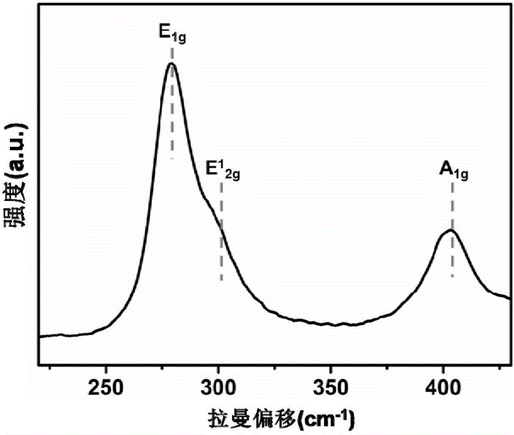 Accordion-shaped VS2 material as well as preparation method and application thereof