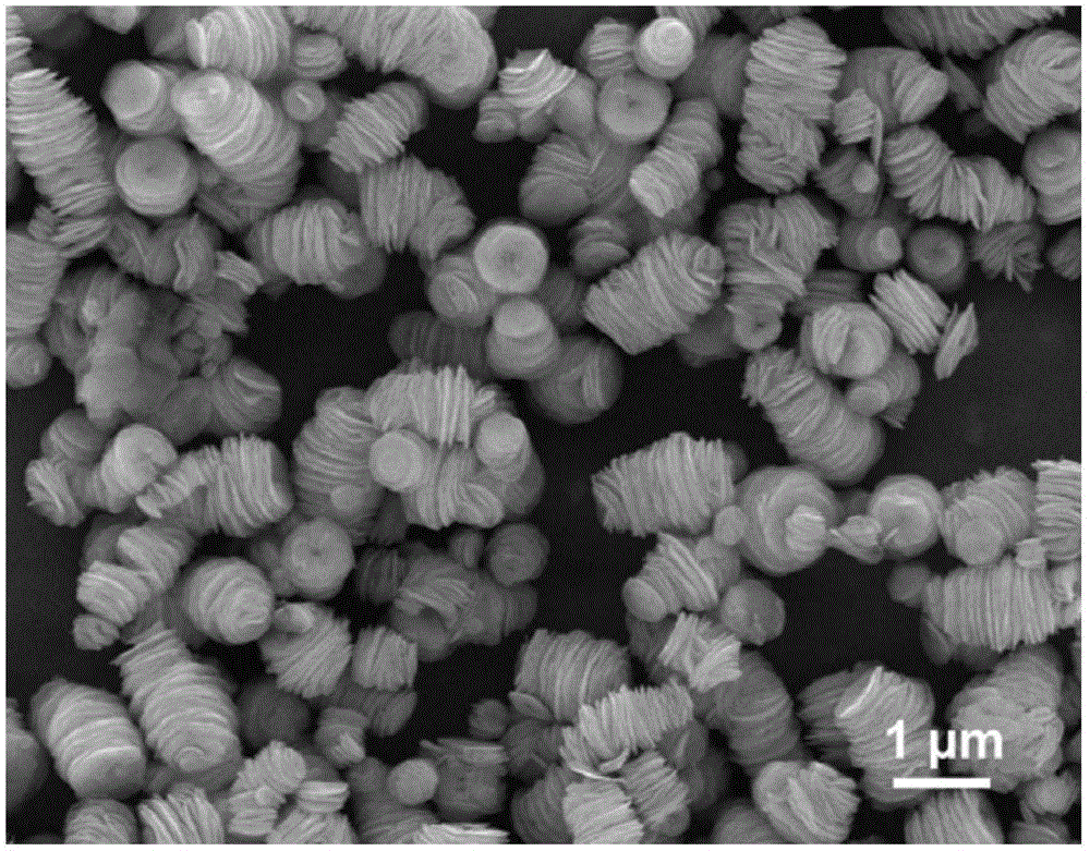 Accordion-shaped VS2 material as well as preparation method and application thereof