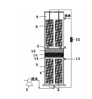 Method and special device for treating organic wastewater by combination of microbial fuel cell and microalgae culture