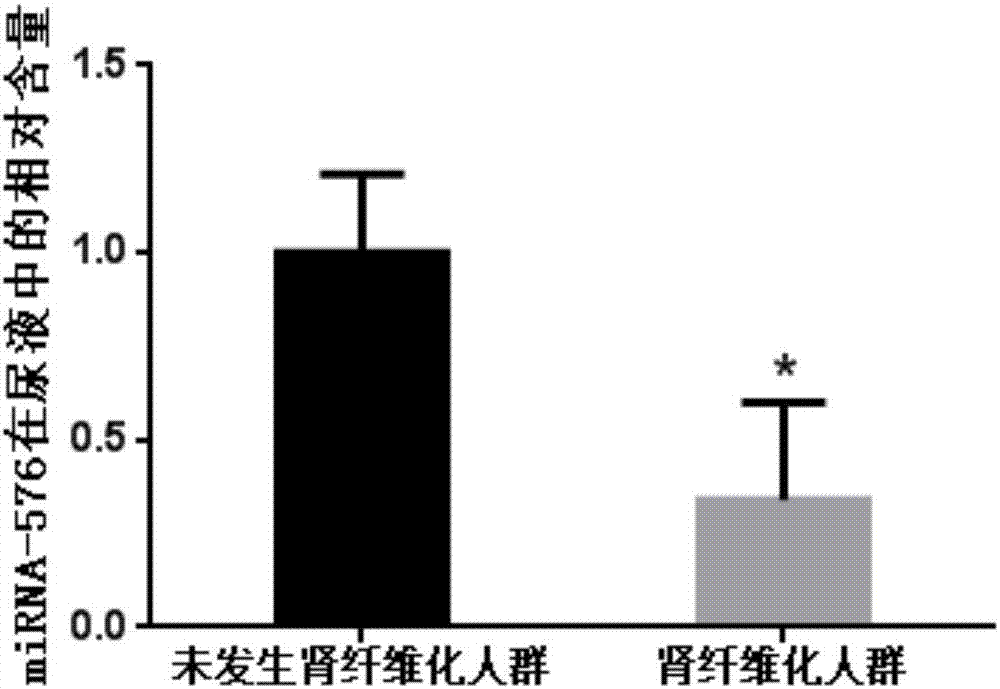 Renal fibrosis miRNA marker