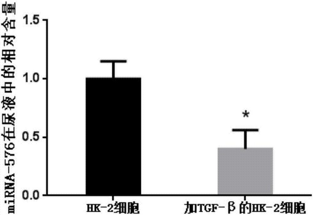 Renal fibrosis miRNA marker