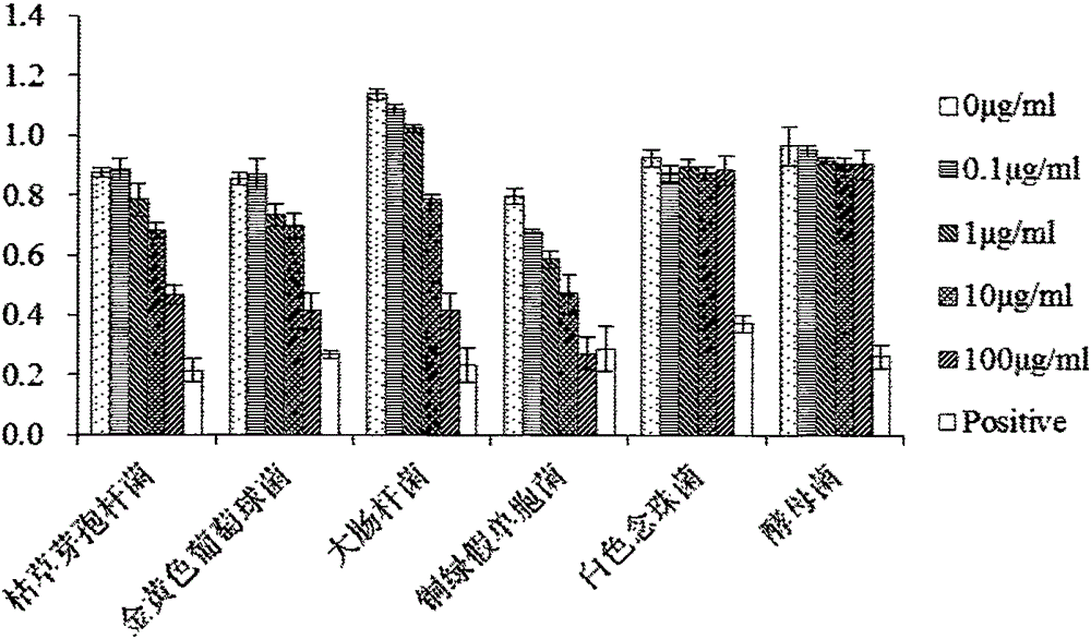 Bufo gargarizans lysozyme