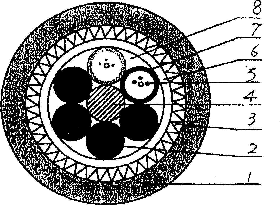 Layer-stranding fire-resisting, corrosive-proof and gopher protected communication outdoor cable