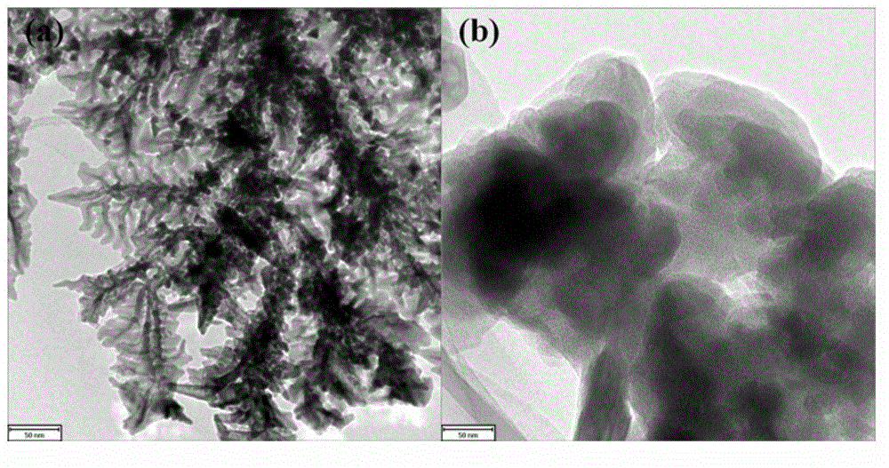 CA scanning assisted preparation method and applications of Pd-Cu/Ti electrode