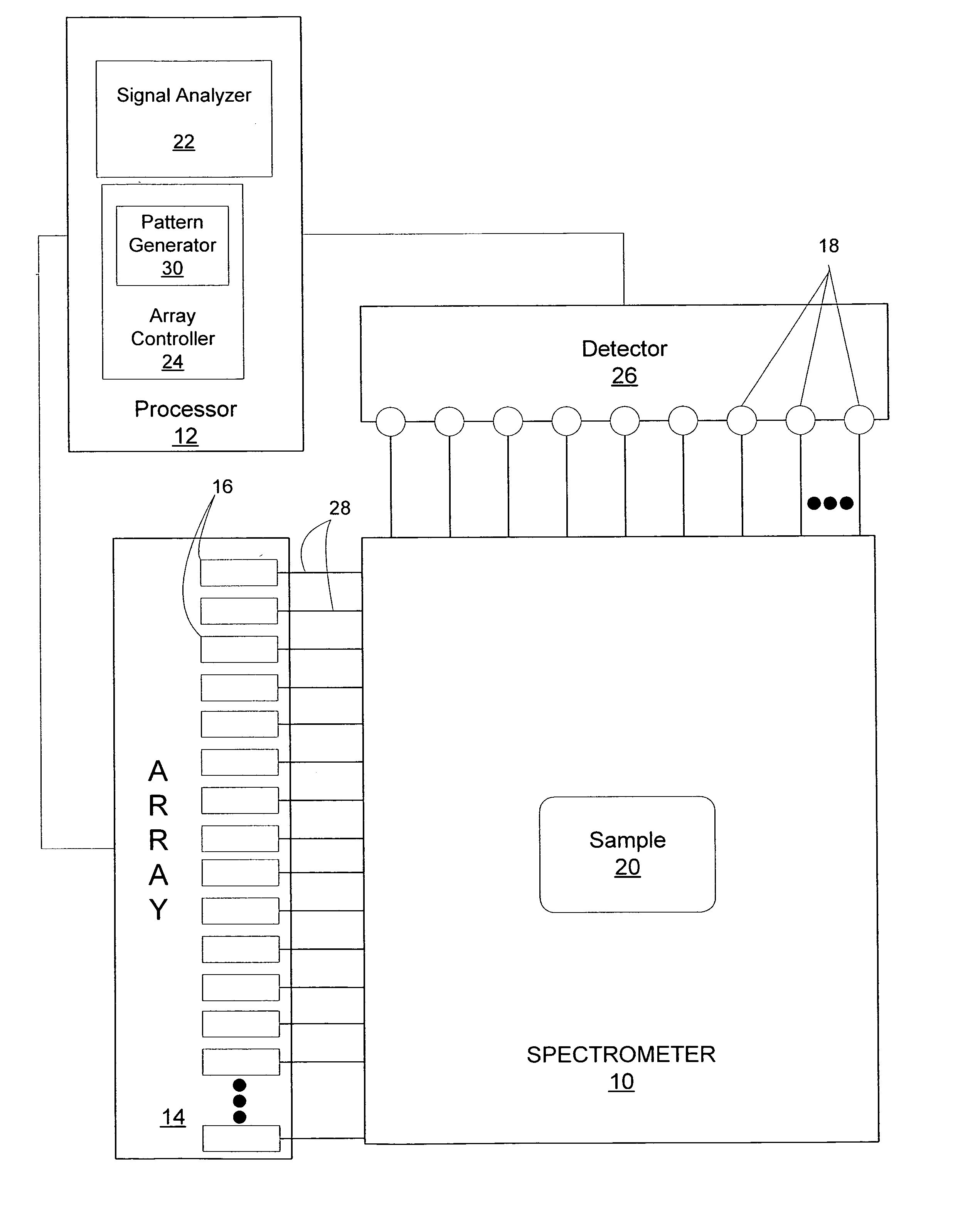 Encoded excitation source Raman spectroscopy methods and systems