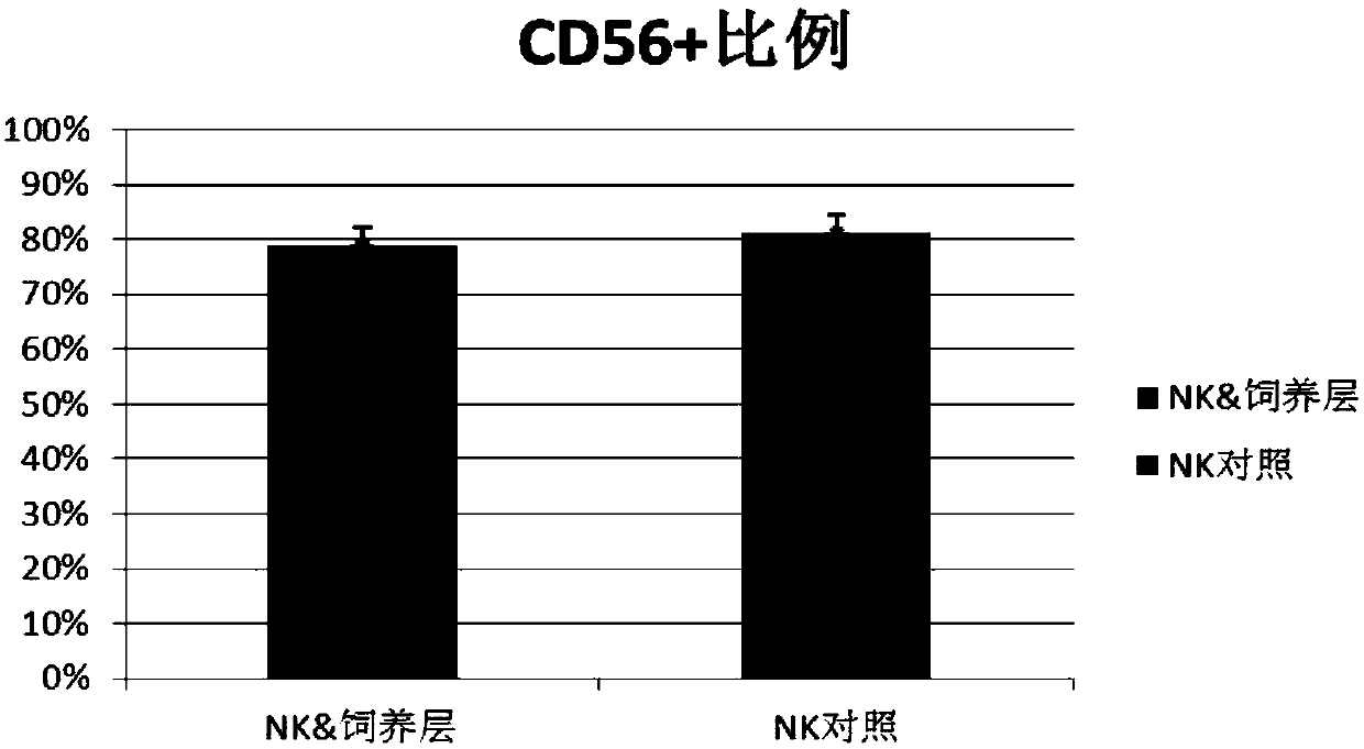 Preparation method of portable feeding layer for stimulating NK cell proliferation and differentiation