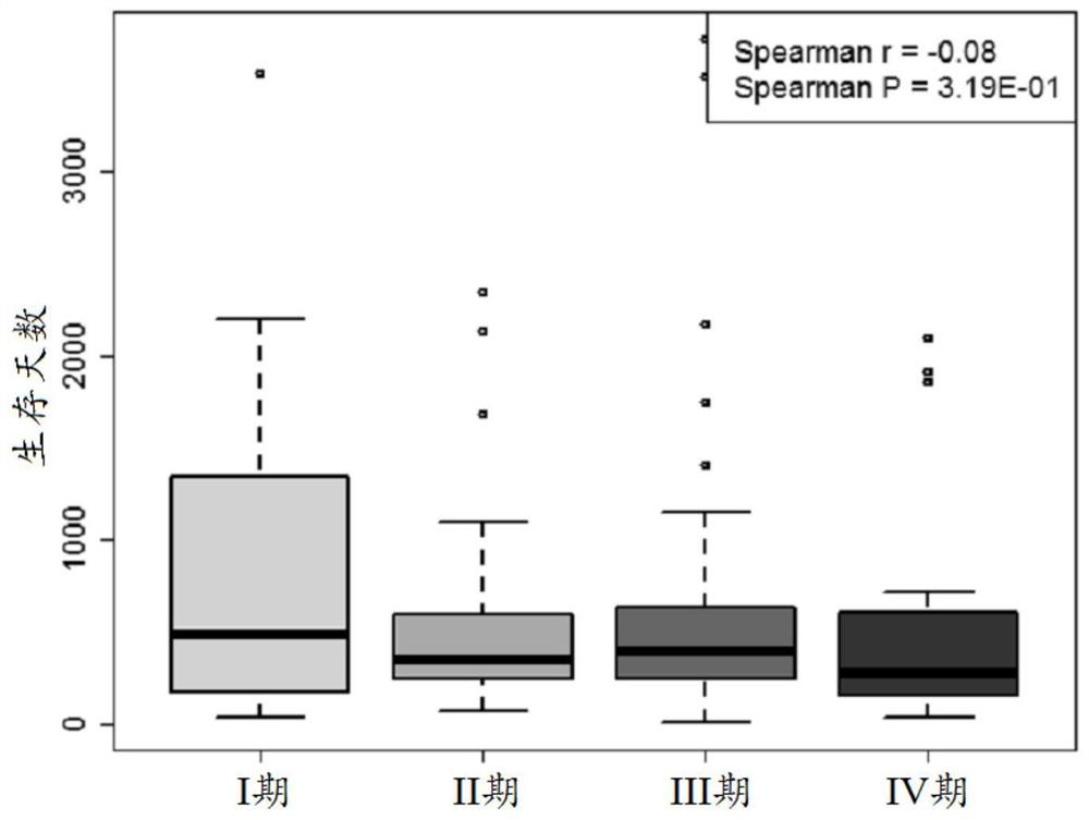 A personalized prognostic assessment method for gastric cancer based on multi-gene expression profiles