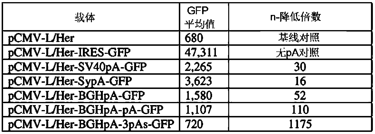 Vectors and methods for recombinant protein expression