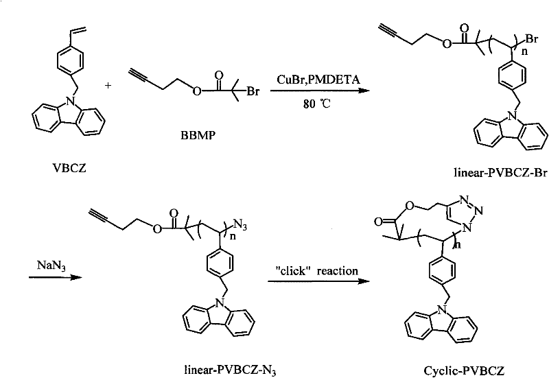 Cyclic polymer and preparation method thereof