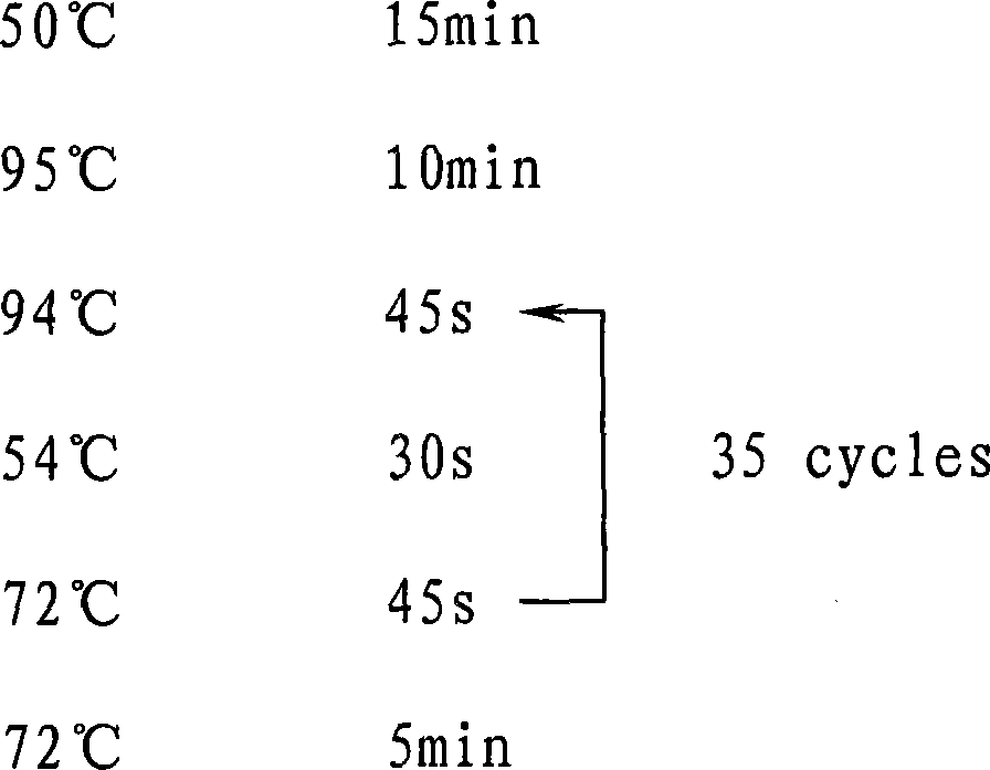 Kit and method for testing hypotype of virogene of hepatitis B and drug fast mutation