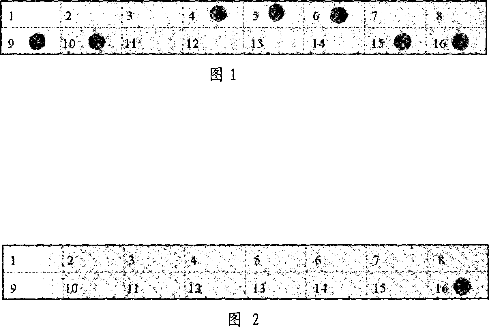 Kit and method for testing hypotype of virogene of hepatitis B and drug fast mutation