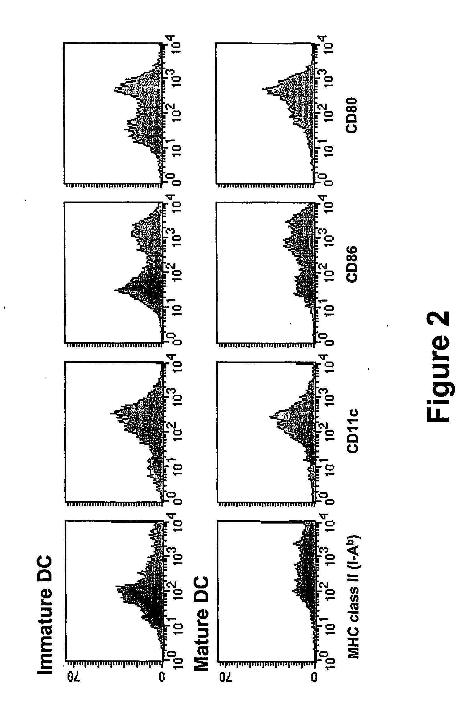 In situ maturation of dendritic cells