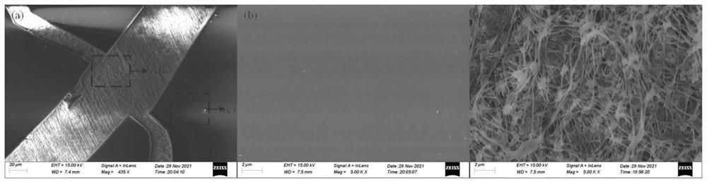 Confined conjugated microporous polymer composite membrane as well as preparation method and application thereof