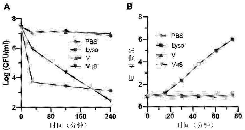 Composition and method for new antimicrobial agents with secondary mode of action