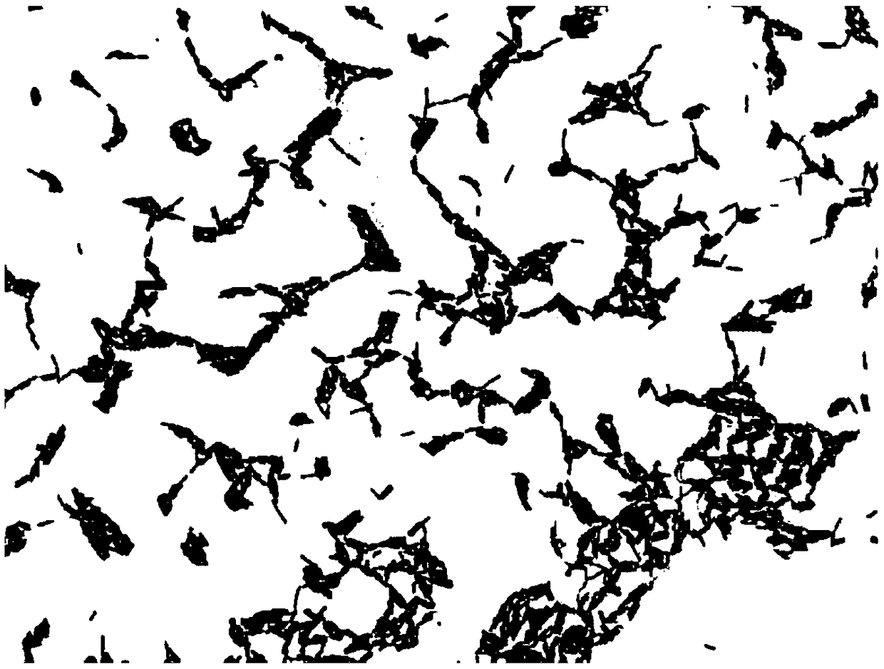 Bacterial strain capable of preventing and treating cattle and sheep diarrheal diseases