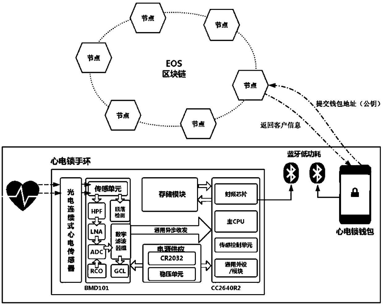 Digital currency wallet based on electrocardiosignal identity authentication