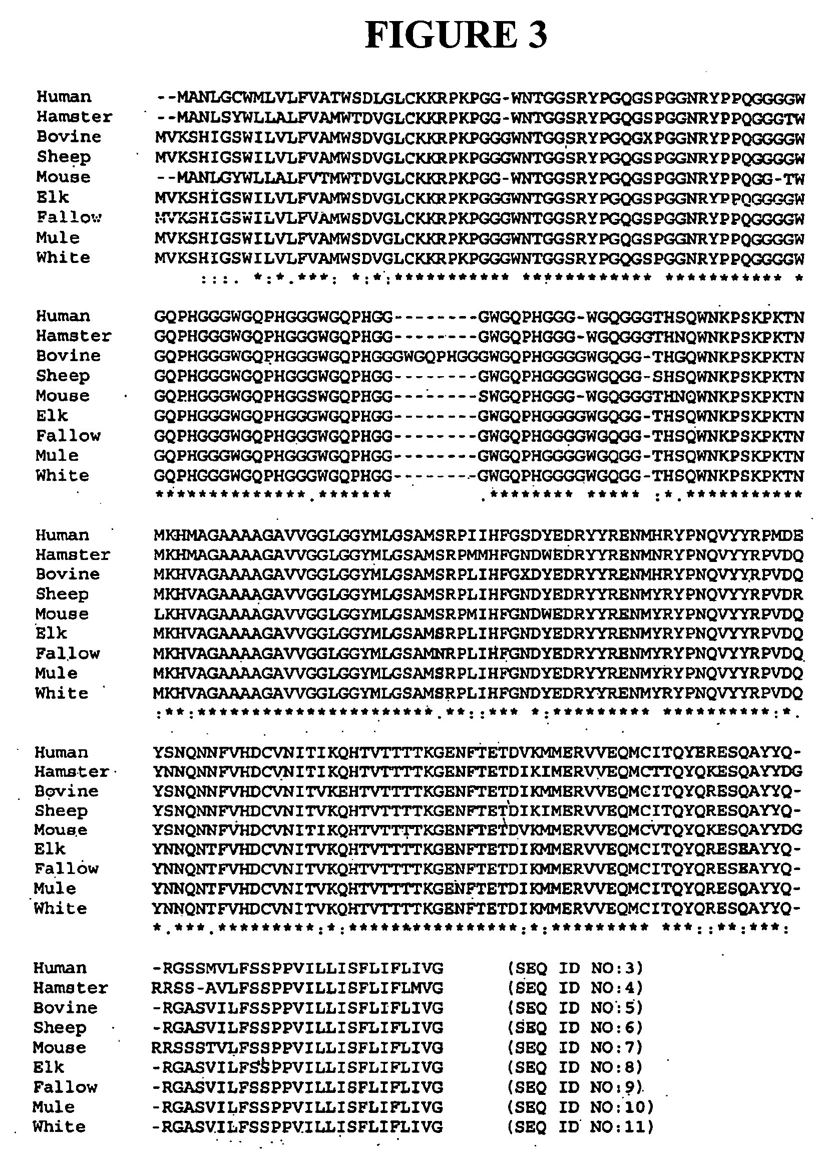 Prion-specific peptoid reagents