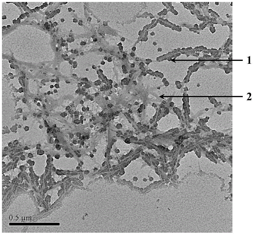 A kind of preparation method of cellulose-based bactericidal emulsion