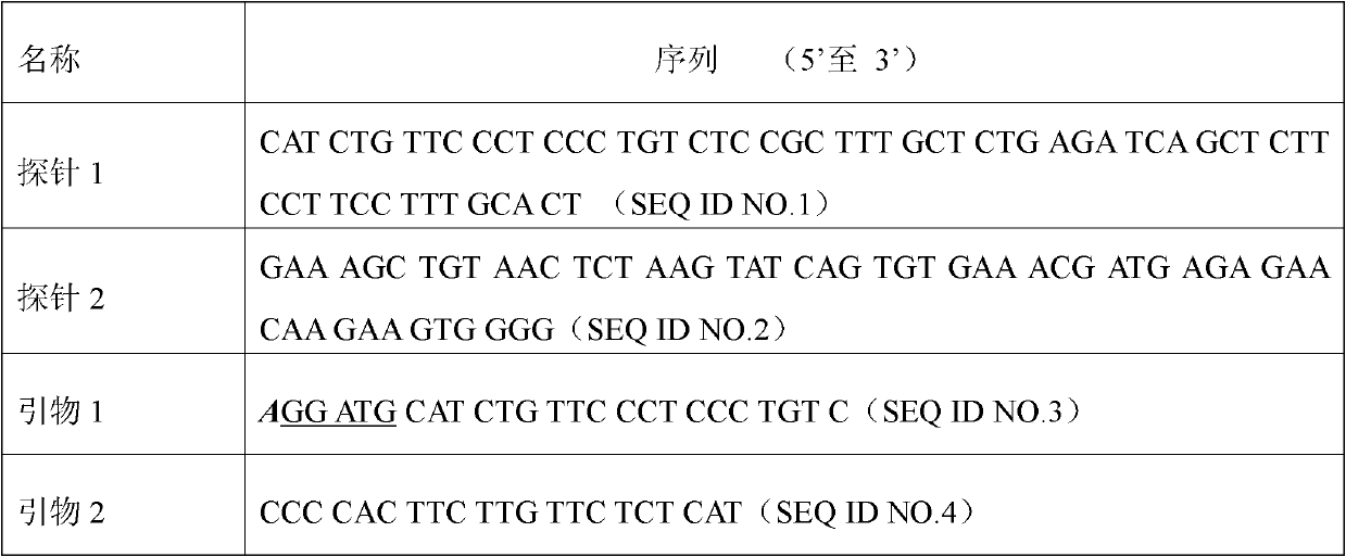 Method for eliminating PCR amplification product pollution based on IIs type restriction endonuclease