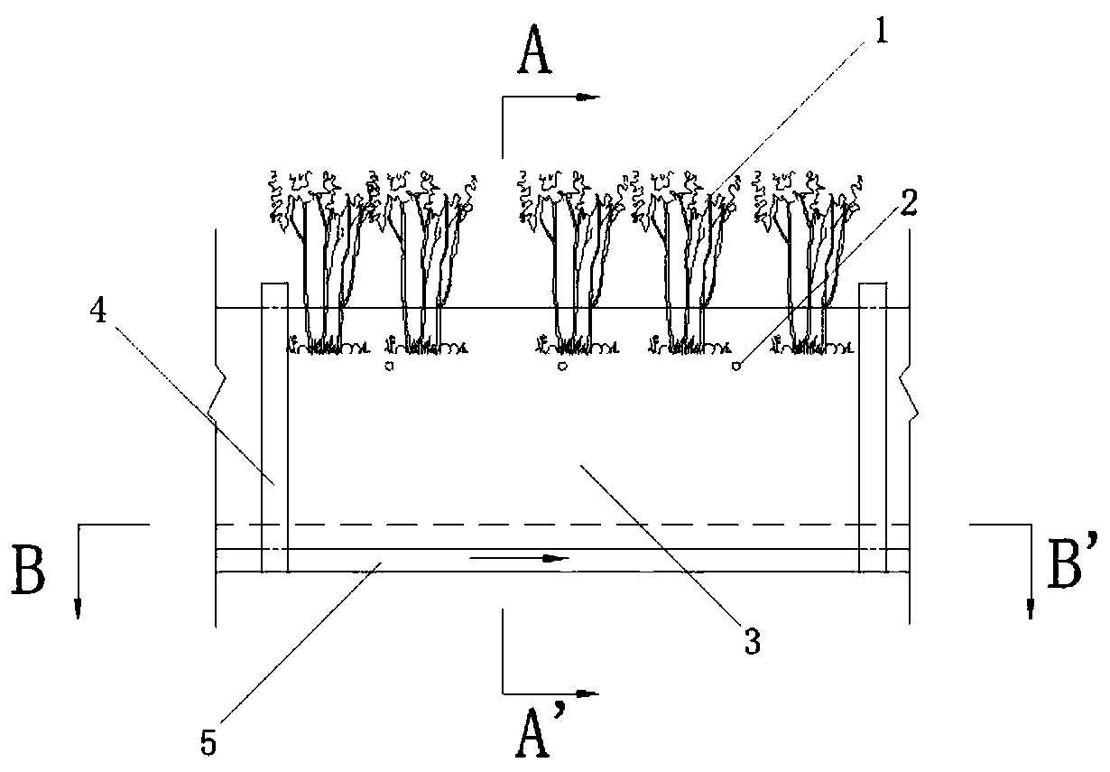 Wall-mounted plant packed bed