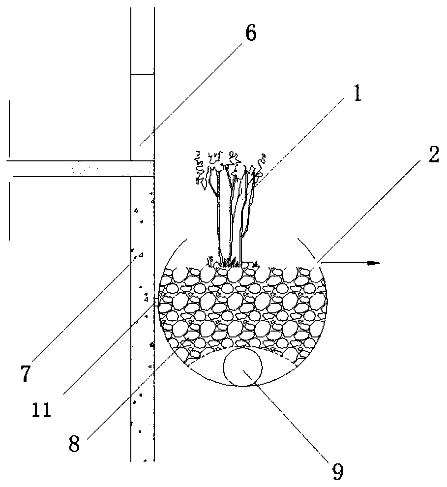 Wall-mounted plant packed bed