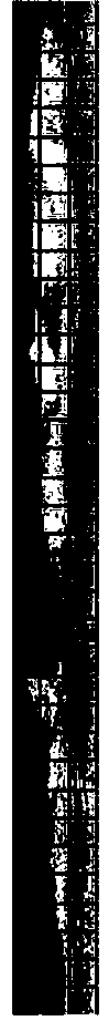 Double-geographic-longitude-latitude-grid dividing method