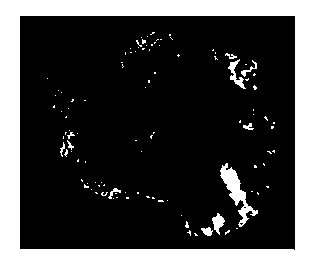 Double-geographic-longitude-latitude-grid dividing method