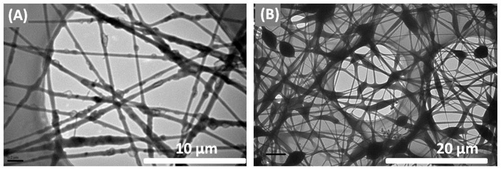 An implanted bandage for promoting the repair of bone damage and its preparation method