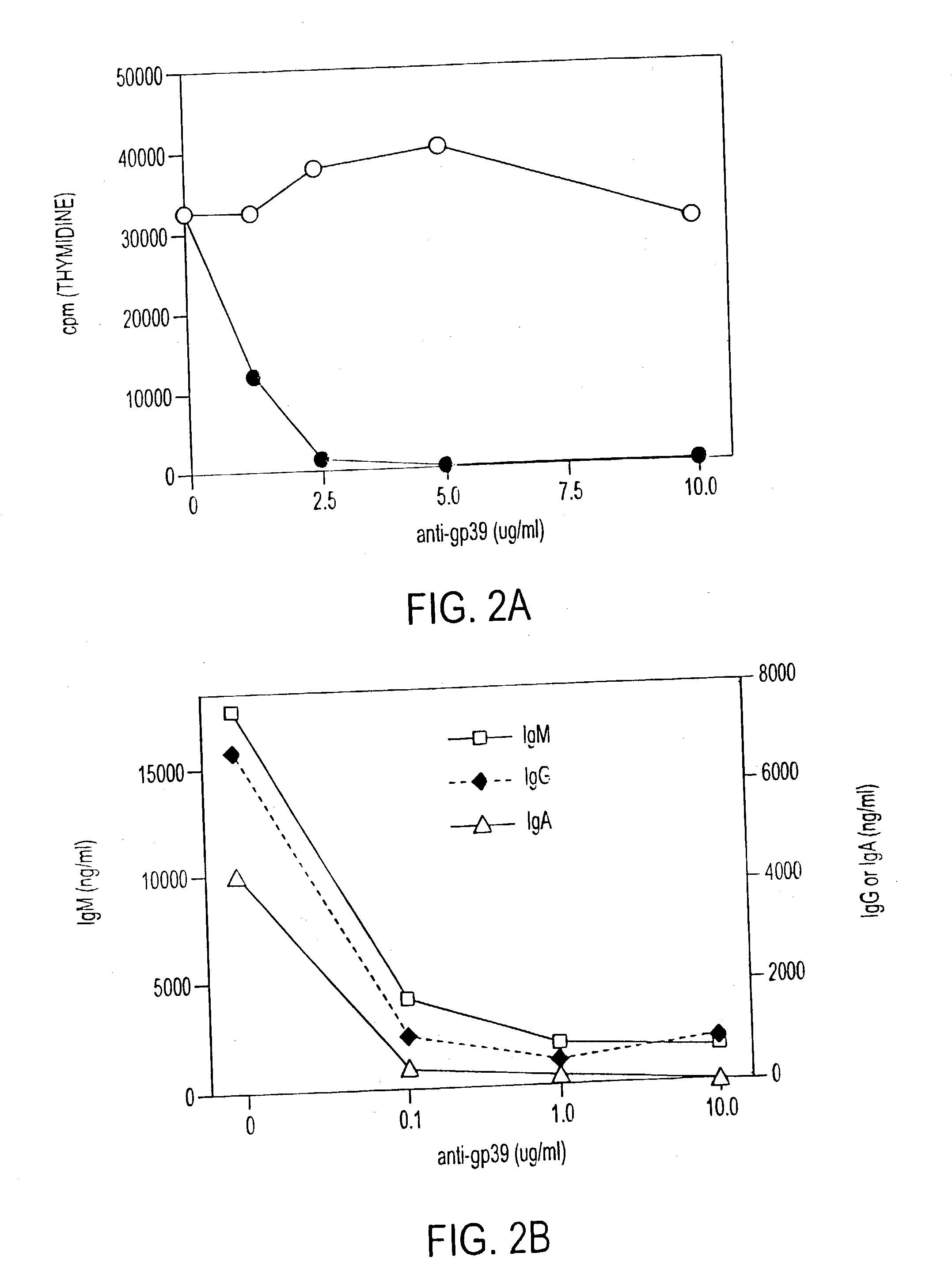 Humanized antibodies to human gp39, compositions containing and therapeutic use thereof