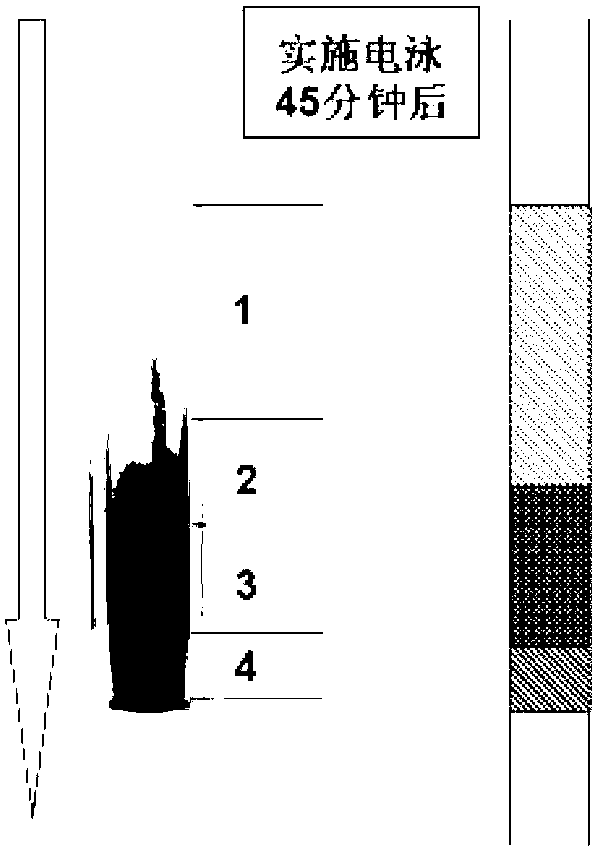 Method for separating metal or semiconductive carbon nanotubes