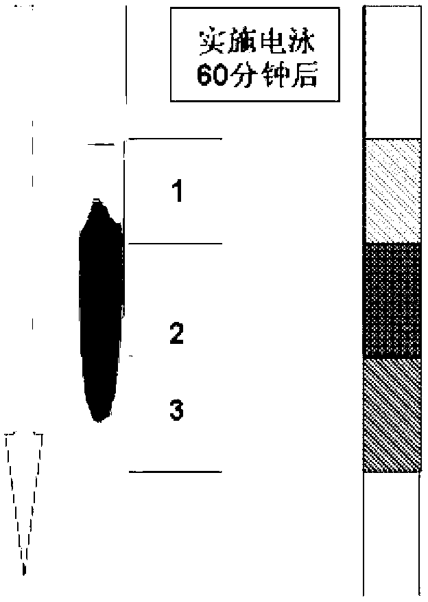 Method for separating metal or semiconductive carbon nanotubes