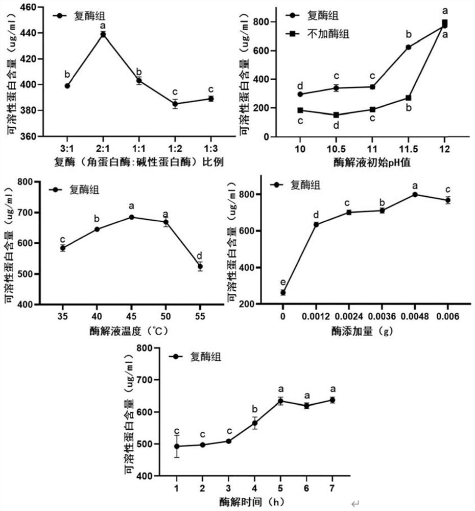 Preparation method of feather peptide powder