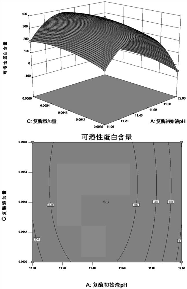 Preparation method of feather peptide powder