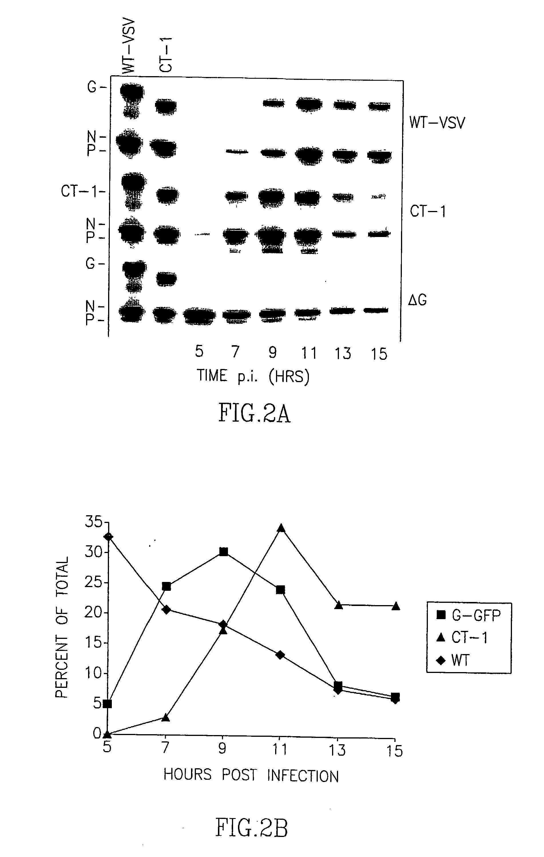 Recombinant Rhabdovirus containing a heterologous fusion protein