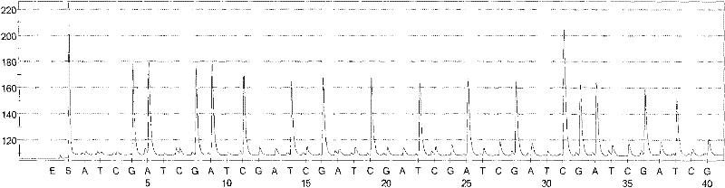 Hepatitis C sequencing and typing kit and detection method thereof