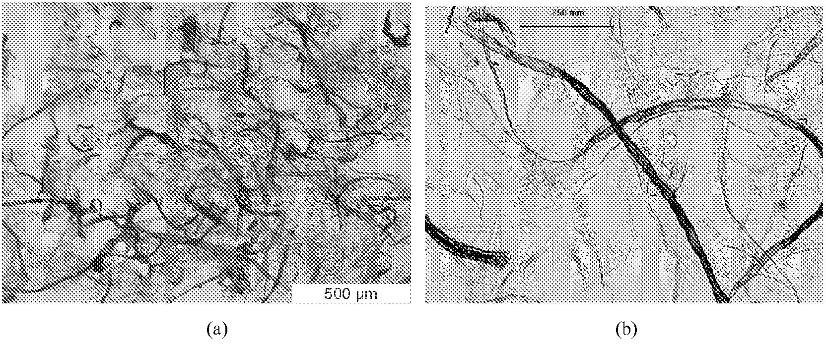 Cellulose fibre composition