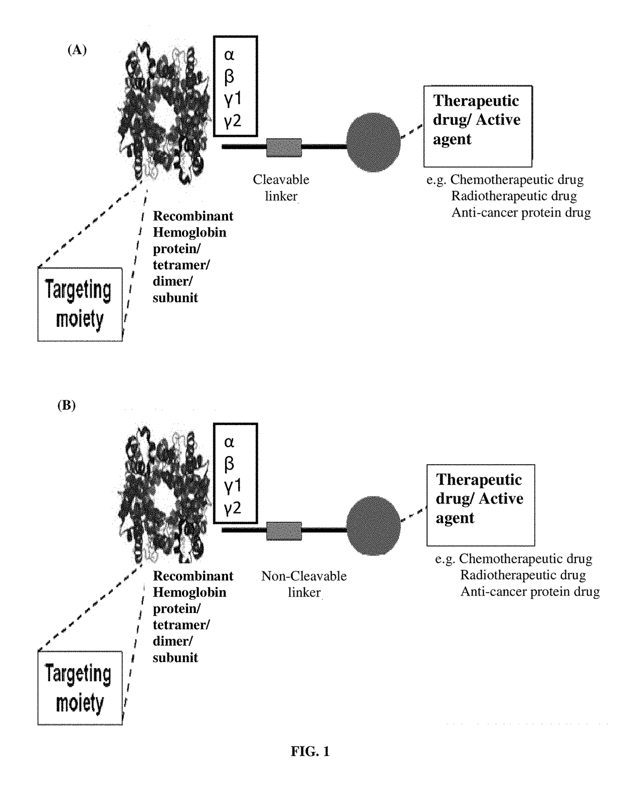 Pharmaceutical composition comprising recombinant hemoglobin protein or subunit-based therapeutic agent for cancer targeting treatment