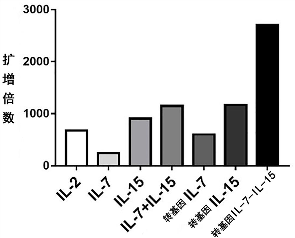 A preparation method for enhancing the lethality of tumor-infiltrating lymphocytes