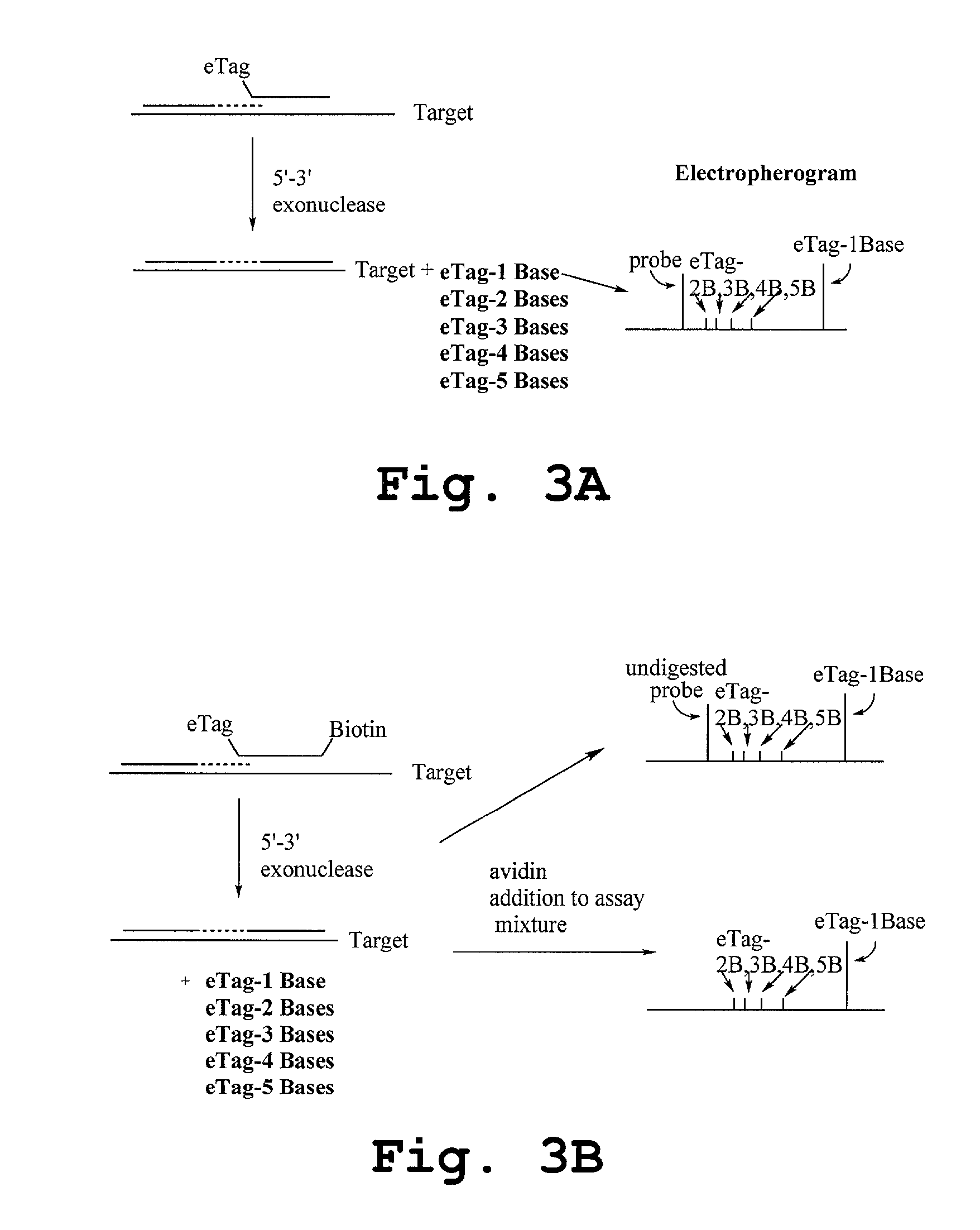 Kits employing generalized target-binding e-tag probes