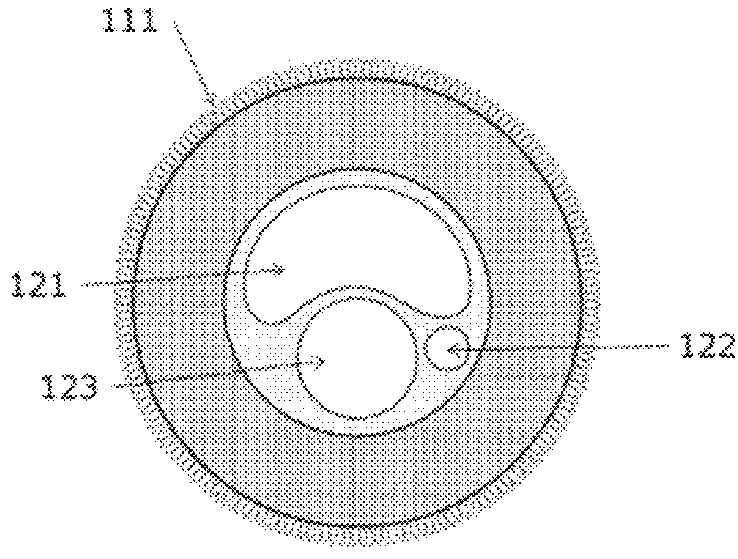 Device for protecting the rectal anastomosis