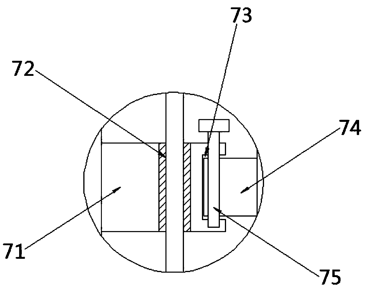 Rapid lake water sampling and detecting method