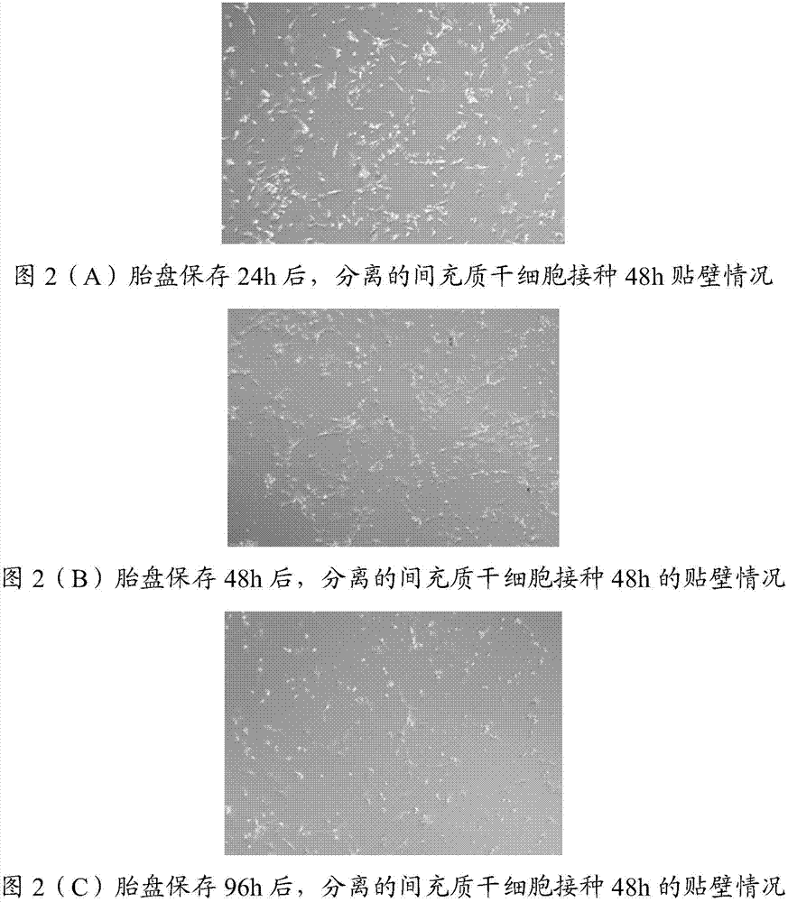 Composition and application thereof, placenta preservative and preparation method of placenta preservative