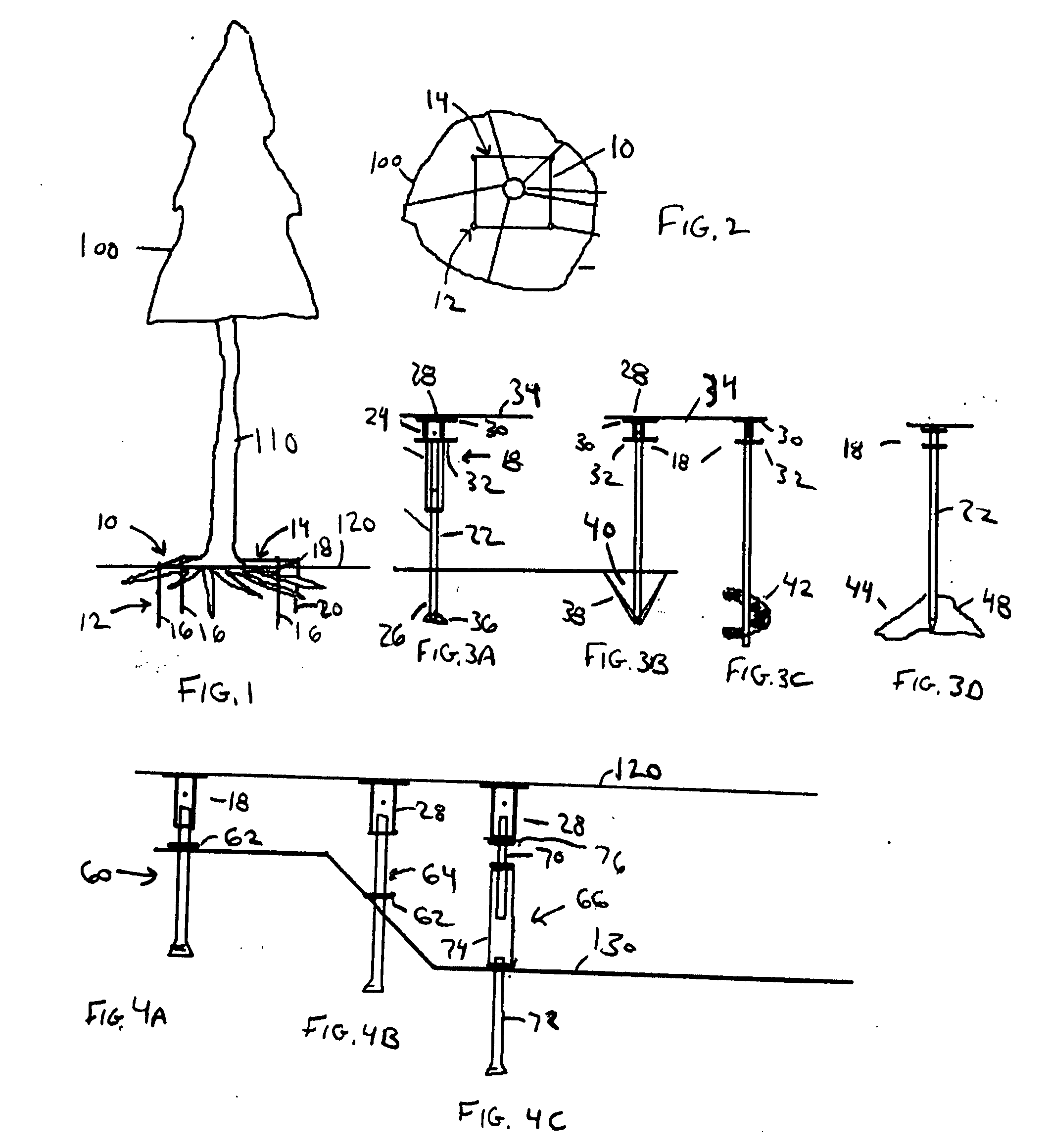 Tree anchor apparatus and method