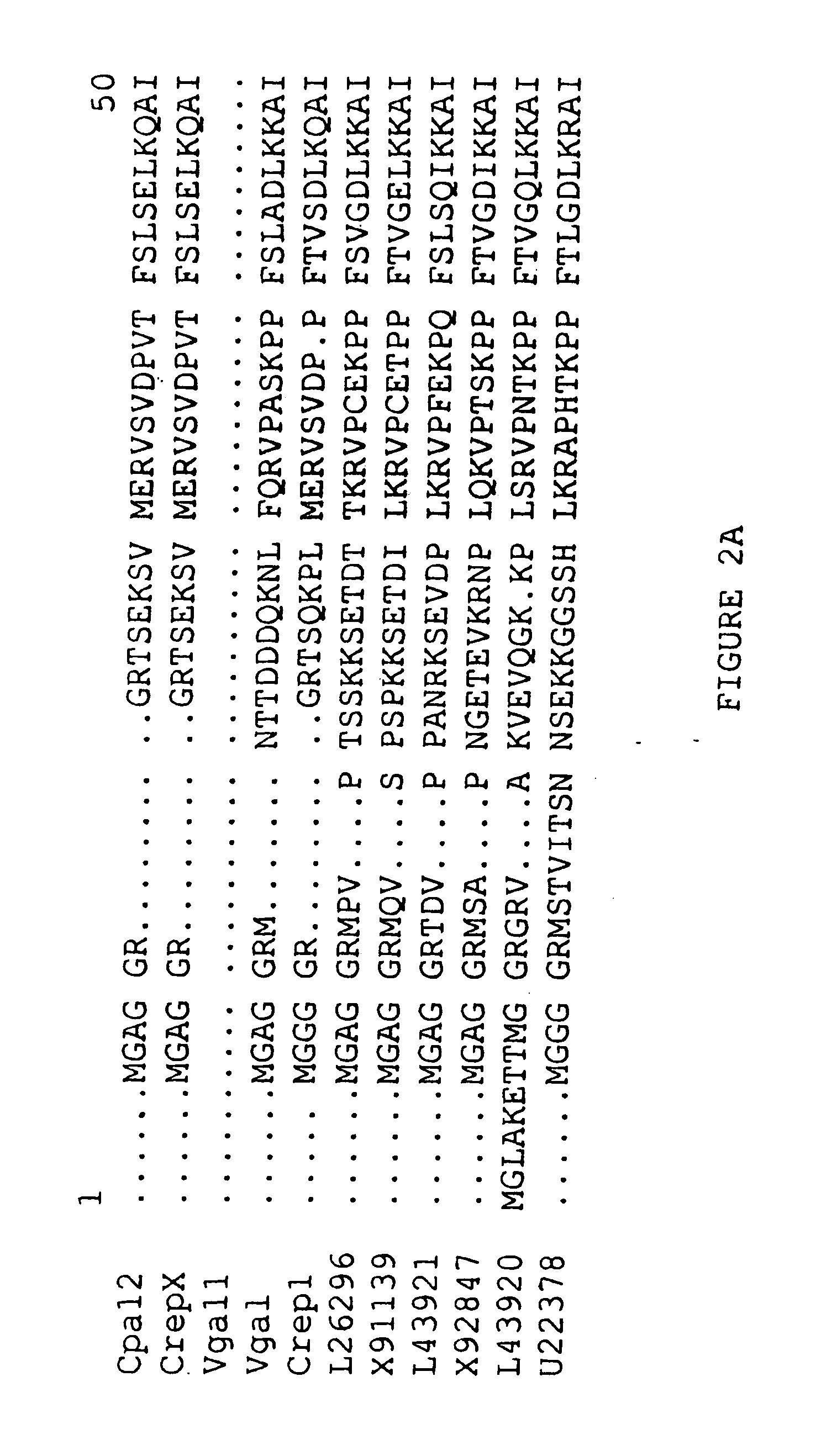 Plant seed comprising vernolic acid