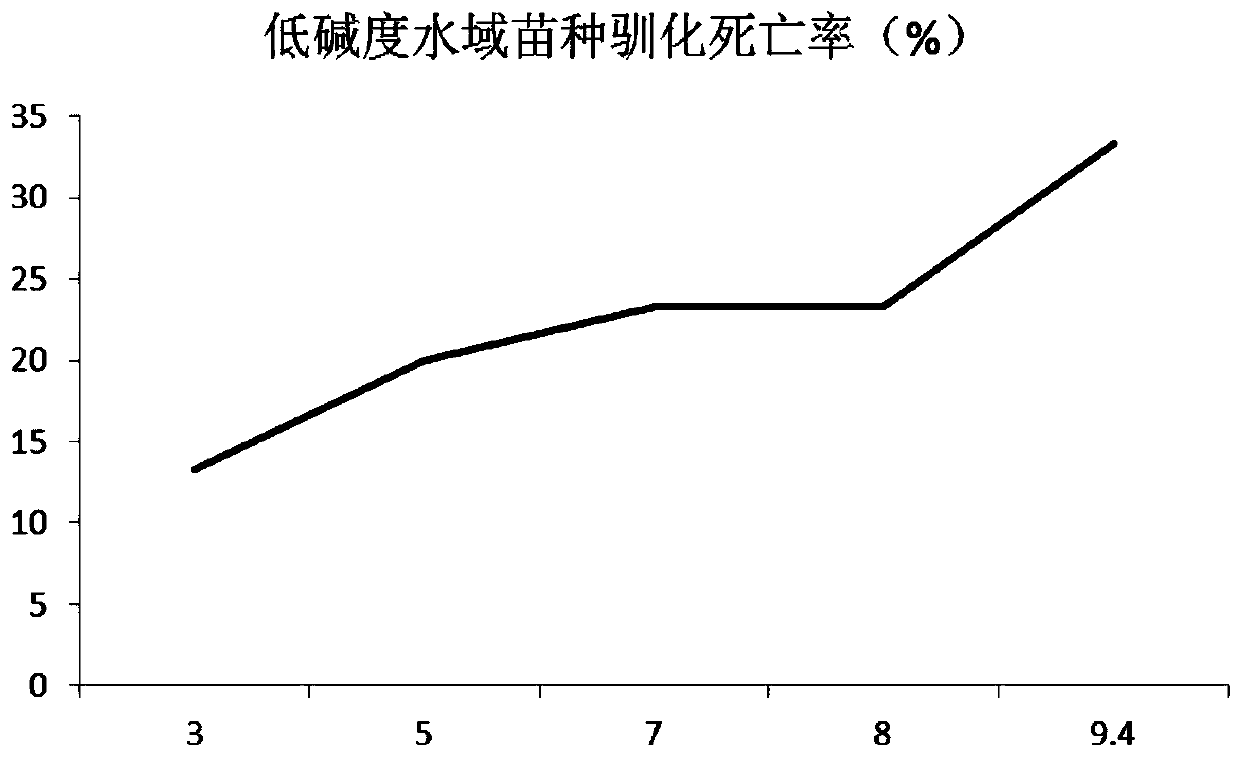 Domestication method for adapting scylla paramamosain seedlings to saline-alkali soil water area culture