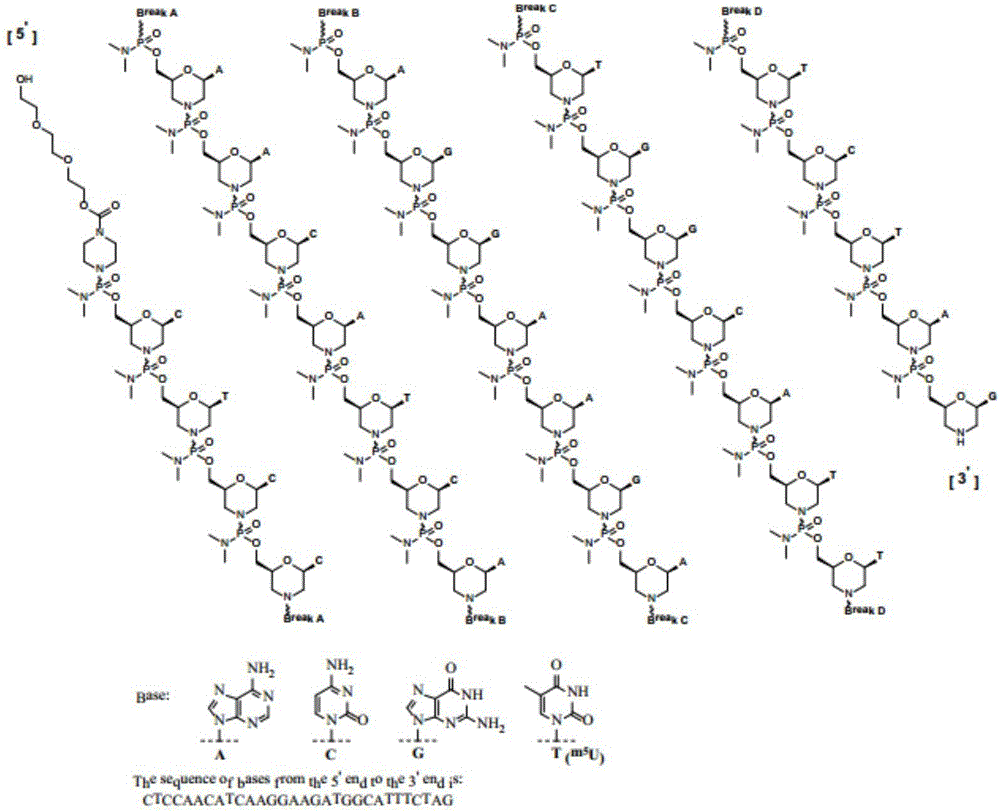 Medicinal preparation suitable for Duchenne muscular dystrophy and preparation method thereof