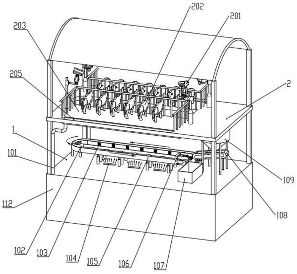 Layered dairy cow feeding system and feeding method