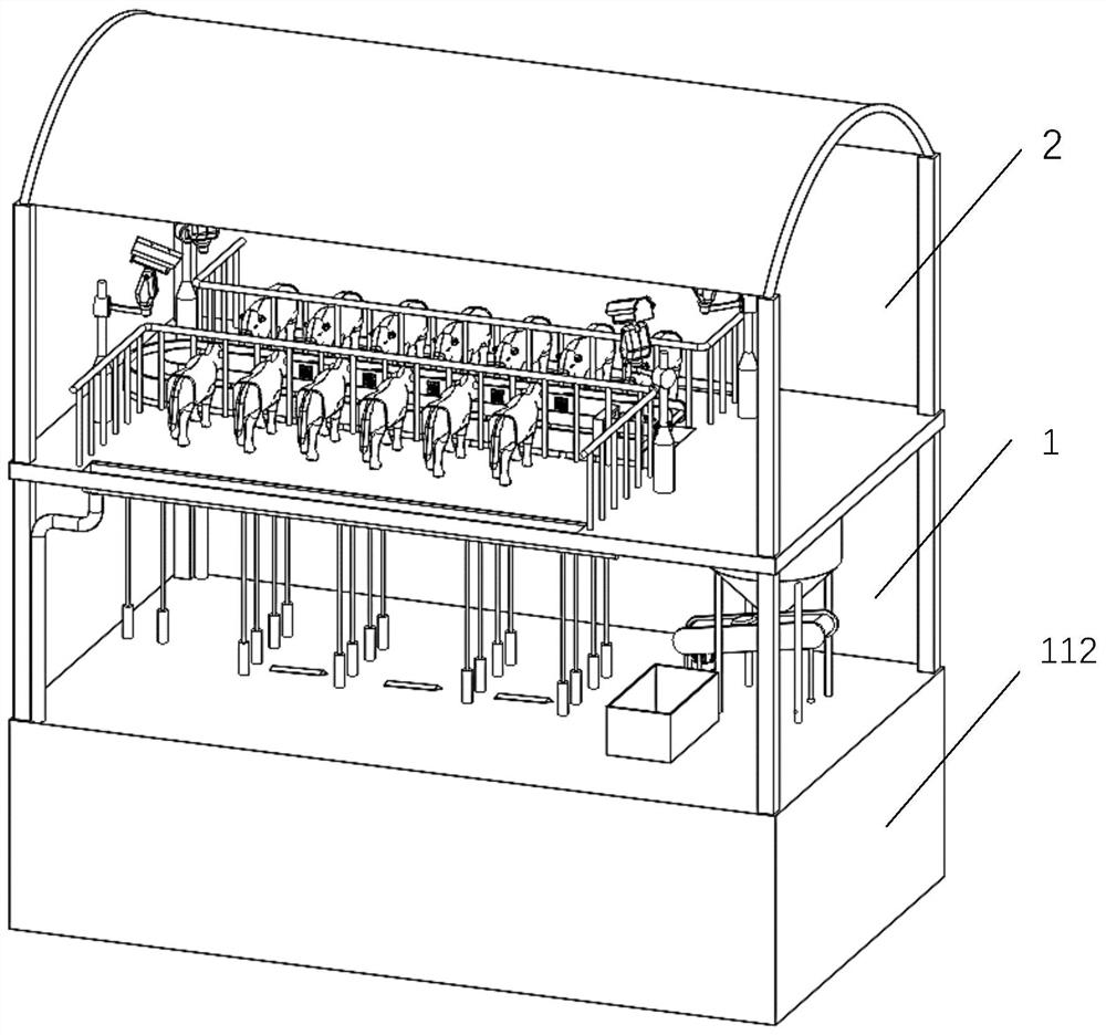 Layered dairy cow feeding system and feeding method