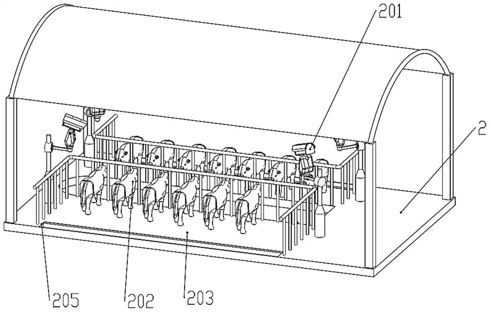 Layered dairy cow feeding system and feeding method