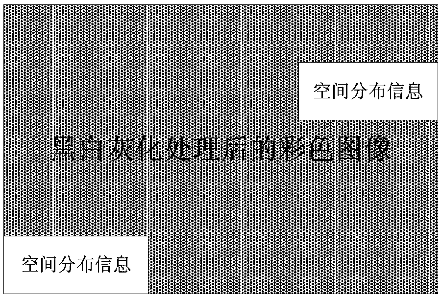 Display method of radioactive substance space distribution information